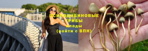 прущий лед Верхний Тагил