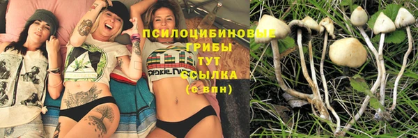 дживик Строитель