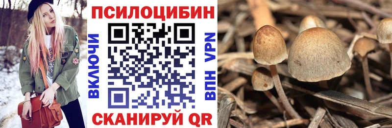 Галлюциногенные грибы мухоморы  Коломна 